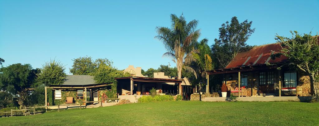 Plettenberg Bay Game Reserve: The Baroness Safari Lodge Exterior photo