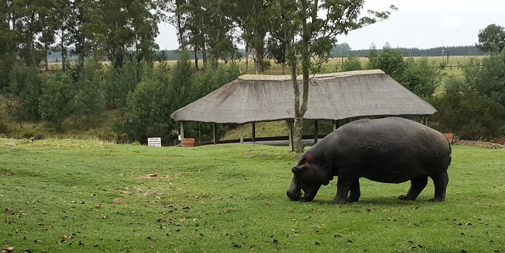 Plettenberg Bay Game Reserve: The Baroness Safari Lodge Exterior photo